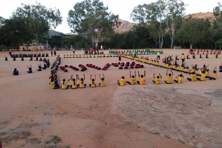 Jawahar Navodaya Vidyalaya-Activity