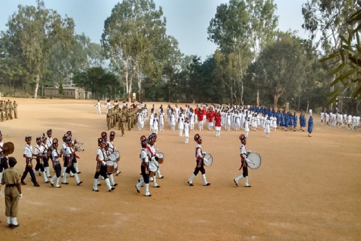 Jawahar Navodaya Vidyalaya-School Activity