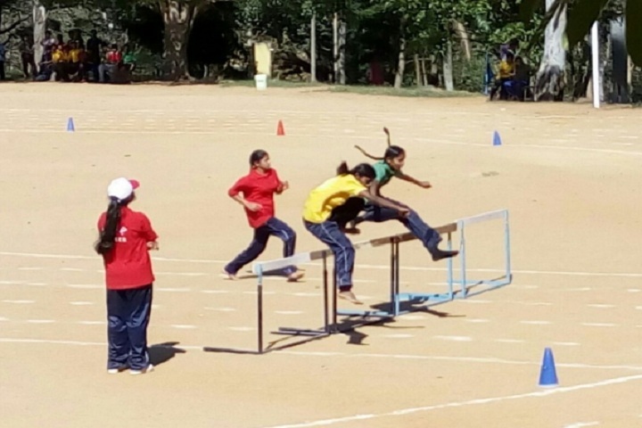 Jawahar Navodaya Vidyalaya-Sports