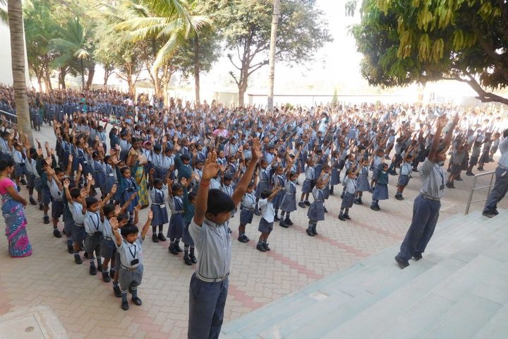 Katherine Public School- Exercise