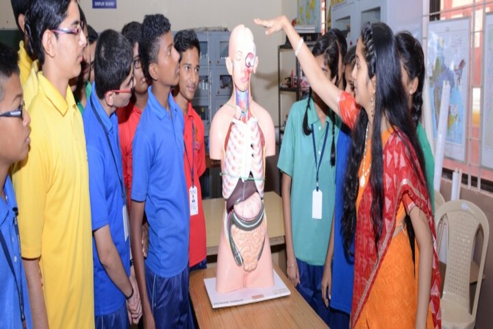 Kls Public School- Biology lab