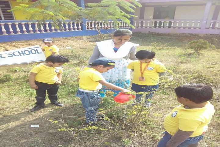 Global public central school - go green