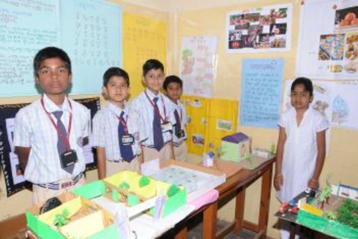 MEC Public School-Exhibition