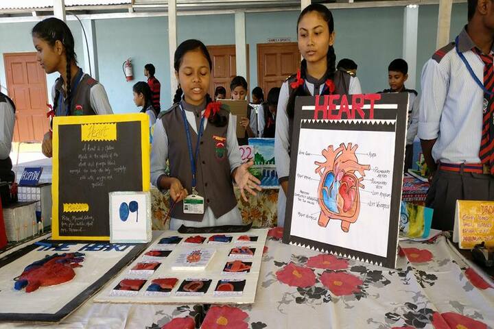 Green meadows school - science exhibition