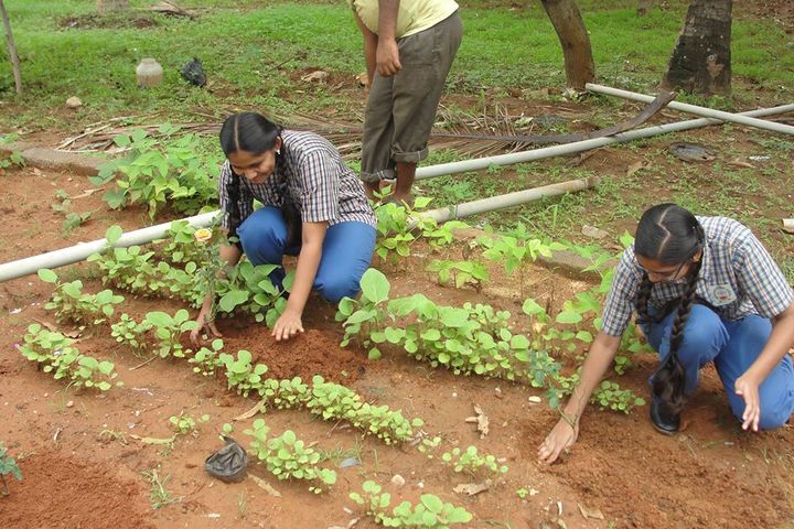 Maruthi Public School-Plantation Day