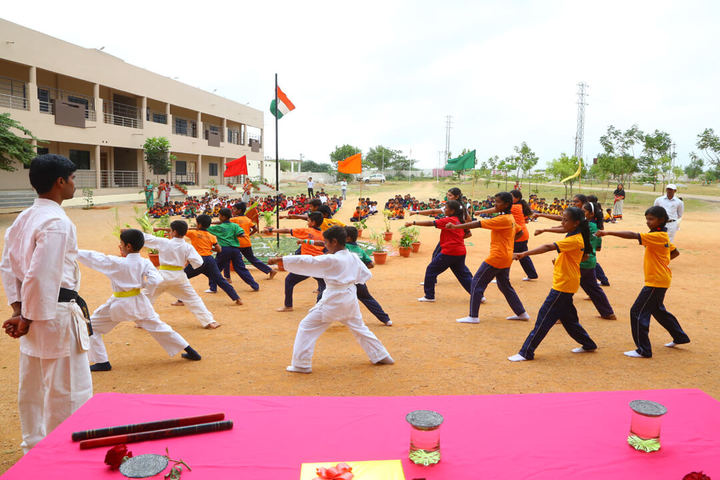 Millennium Public School-Martial Arts