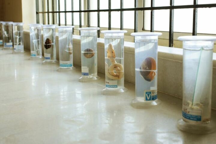 Mount Carmel Central School-Biology Lab