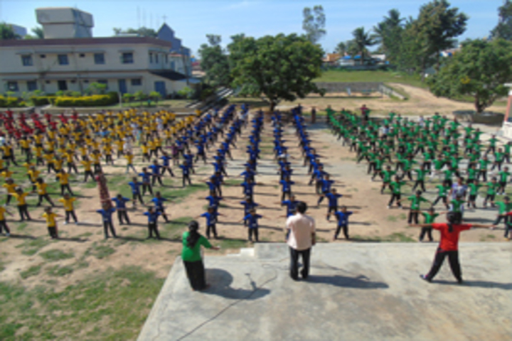 Mount Carmel School-Yoga