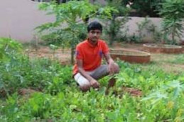 National Public School-Plantation Day