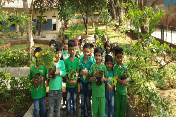 Navaprajna Public School-Environment Day
