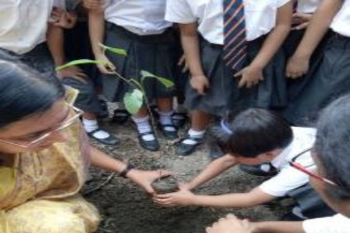 Happy convent school - Tree Plantation