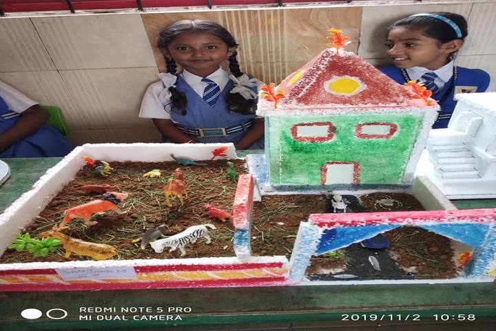 Nishara Public School-Science Fair