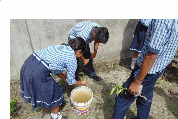 Hindustani kendriya vidyalaya - environment day