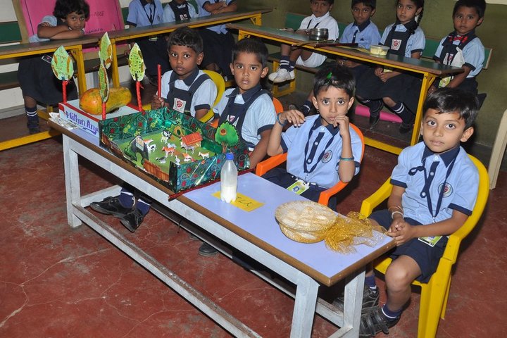 Rockvalley International School-Student Project