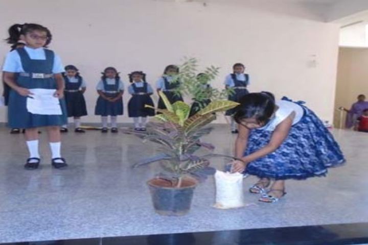 S R N Mehta School-Environment Day
