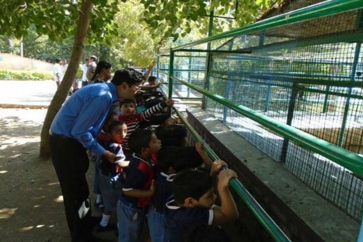 S R N Mehta School-Field Trip