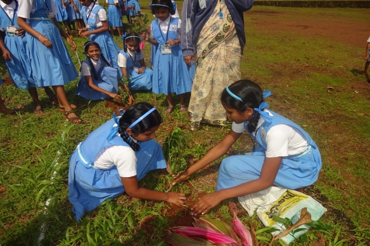 Sacred Heart Convent School-Plantation
