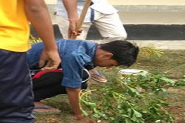 Jawahar Navodaya Vidyalaya-Tree plantation