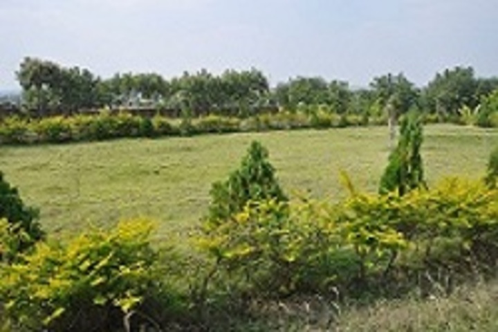 Siddha Bharati Vidya Mandir School-Garden
