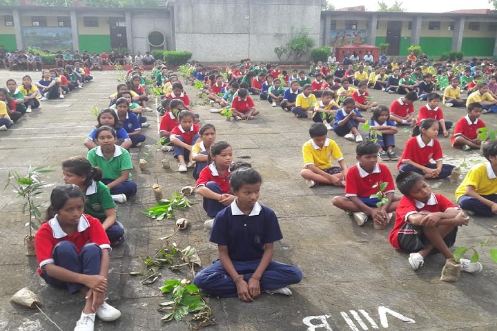 Jawahar Navodaya Vidyalaya-Plantations