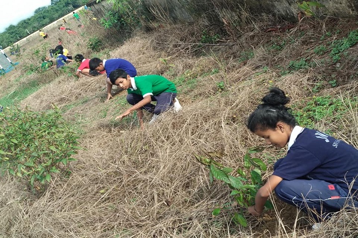 Jawahar Navodaya Vidyalaya-Trees