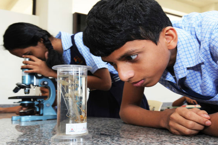 St Aloysius Gonzaga School-Biology Lab