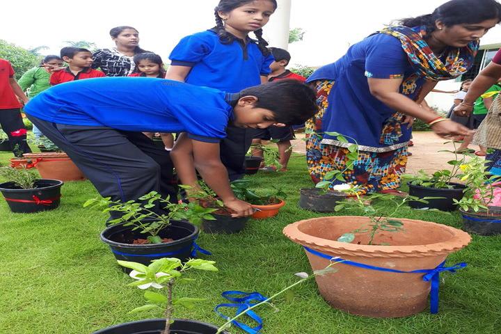 The Cambridge International School-Tree Plantation