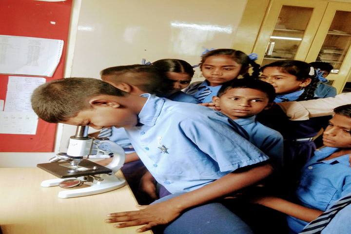 The Deens Academy-Biology Lab