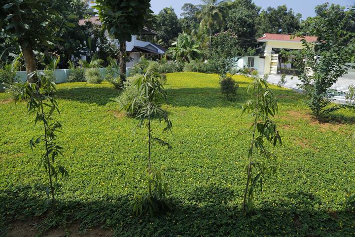 Al Falah Public School-Campus View Area