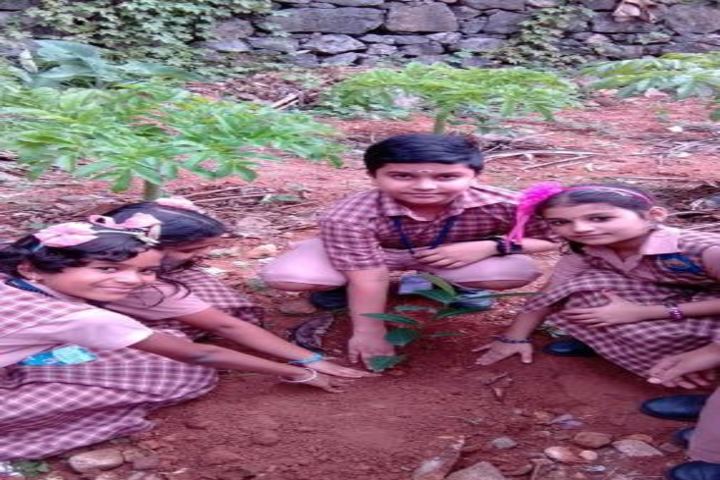 Amrita Vidyalayam-Plantation