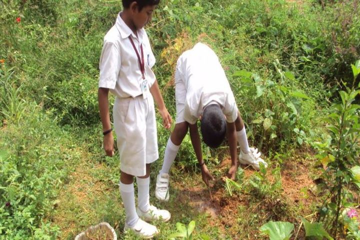 Amrita Vidyalayam-Plantation