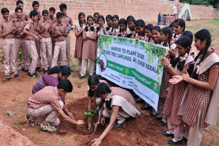 Amrita Vidyalayam-Plantation