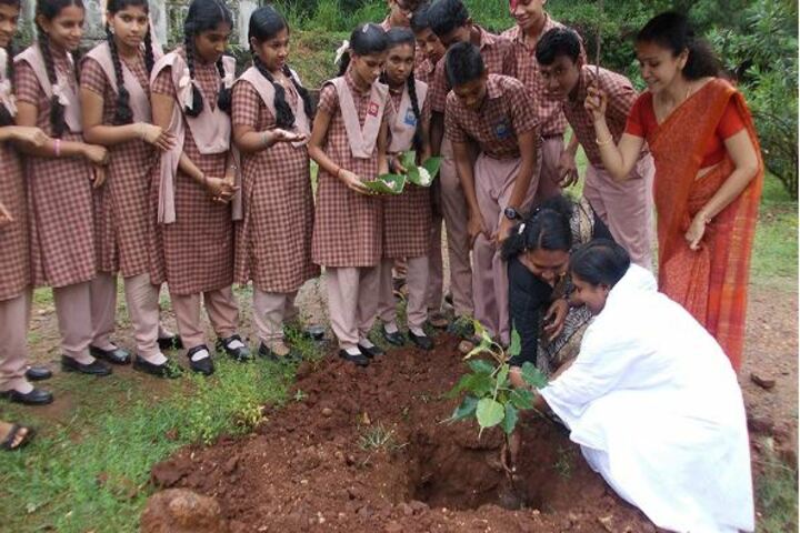 Amrita Vidyalayam-Plantation