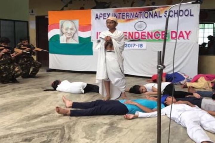 Apex International School-Independence day