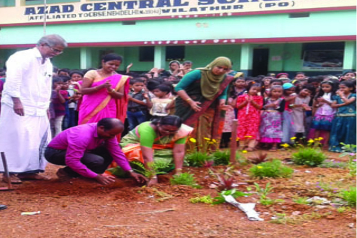 Azad Central School-Plantation