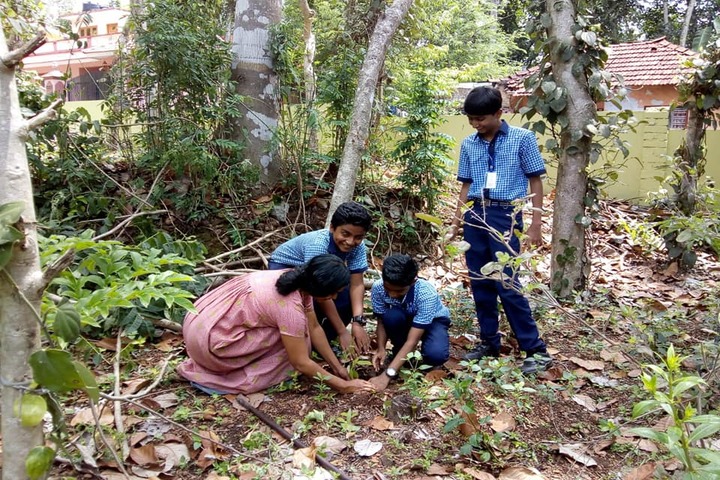 B M M English Medium School-Plantation