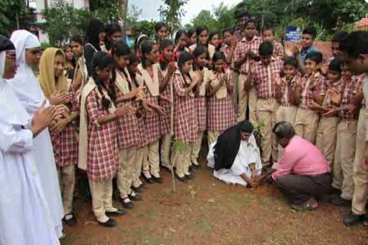Baselios Marthoma Mathews Ii Central School-Plantation