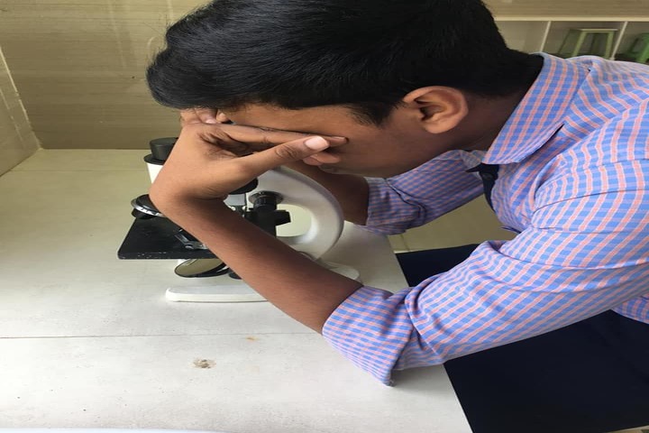 Bee Line Public School-Science Lab