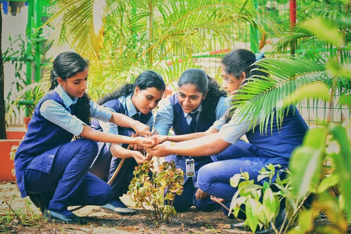 Believers Church English Medium School-Plantation