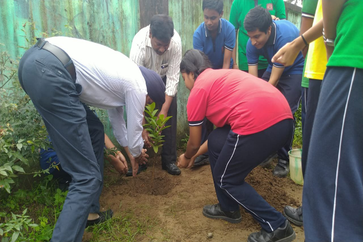 Tree Planatation Day