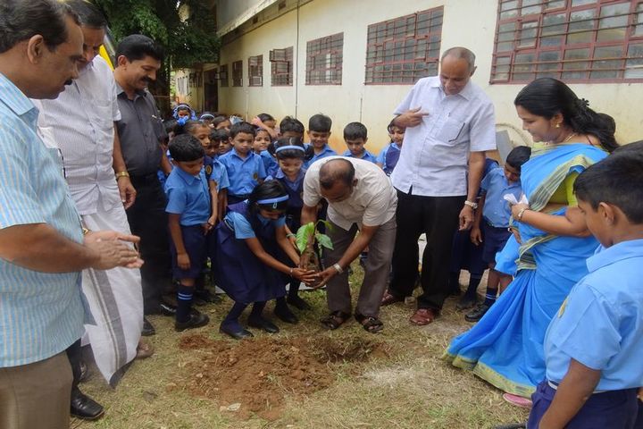 Bharatiya Vidya Bhavan-Plantation