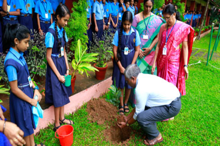 Bhavans Vidya Mandir-Plantation