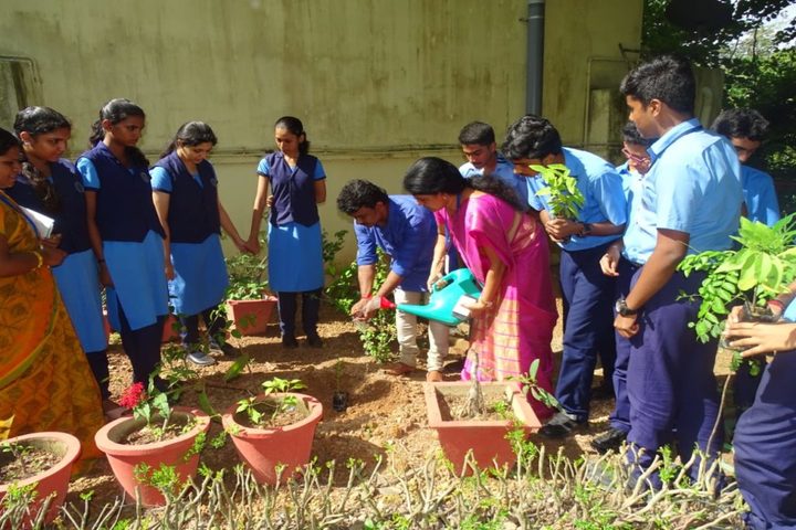 Bhavans Vivekananda Vidya Mandir-Plantation