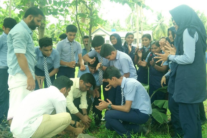 Blossom Secondary School-Tree Planting