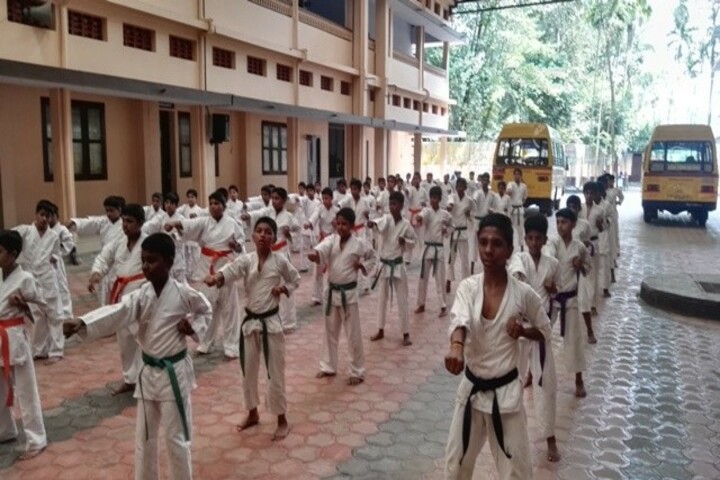 Carmel Central School-Karate Activity