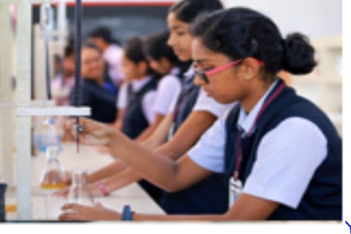 Carmel Public School-Chemistry Lab