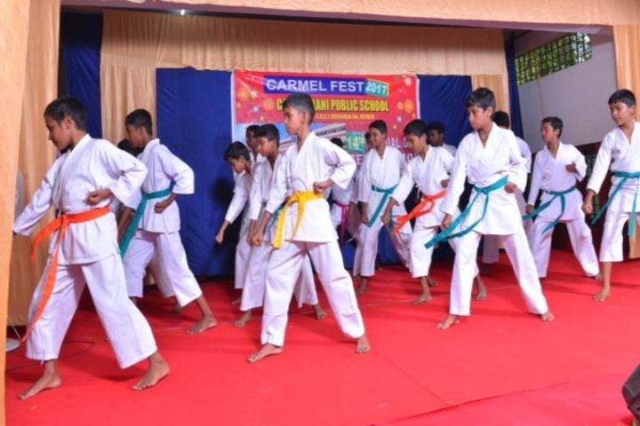 Carmel Rani Public School-Karate