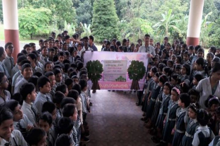 Carmel Rani Public School-Projects