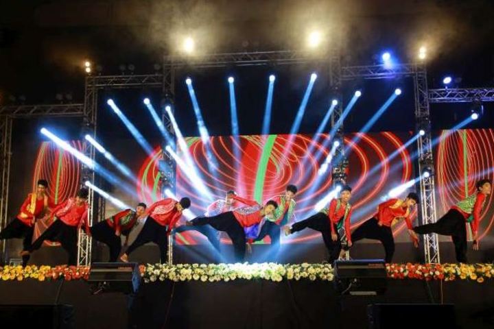 Chavara Darshan Cmi Public School-Annual Day