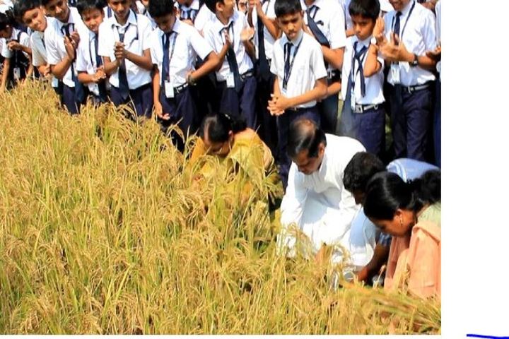 Chavara Darshan Cmi Public School-Field Activity